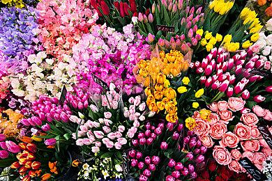 《Granblue Fantasy: Relink》全球累计销量突破 200 万部！ 